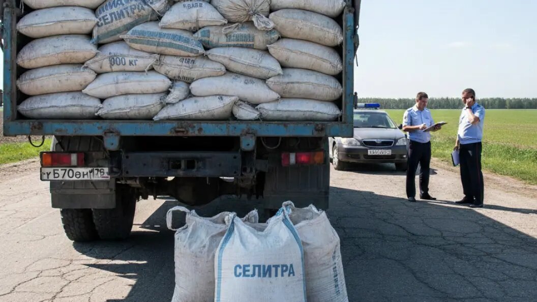    Коллаж ИИ/запрос Царьграда