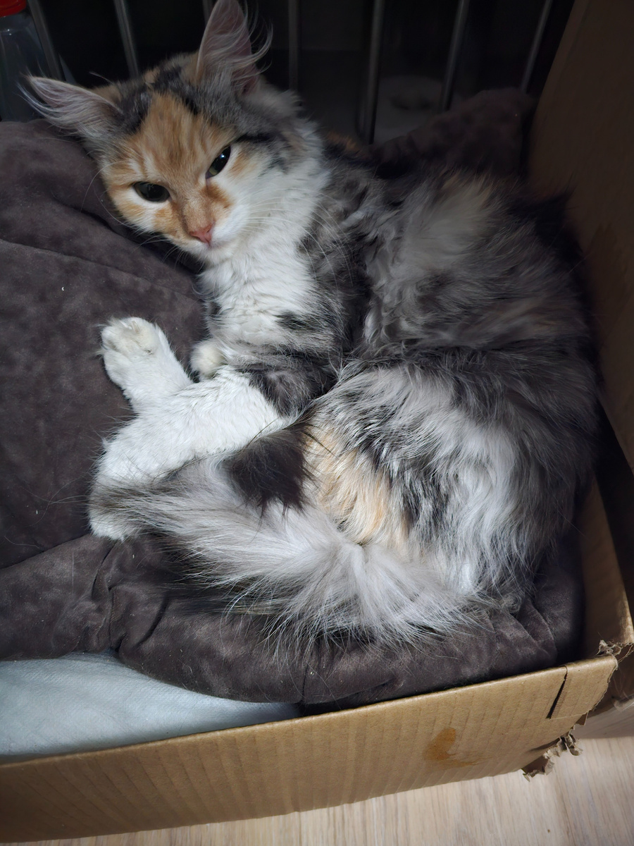 Фото автора. Фасолька оооооочень хочет жить.