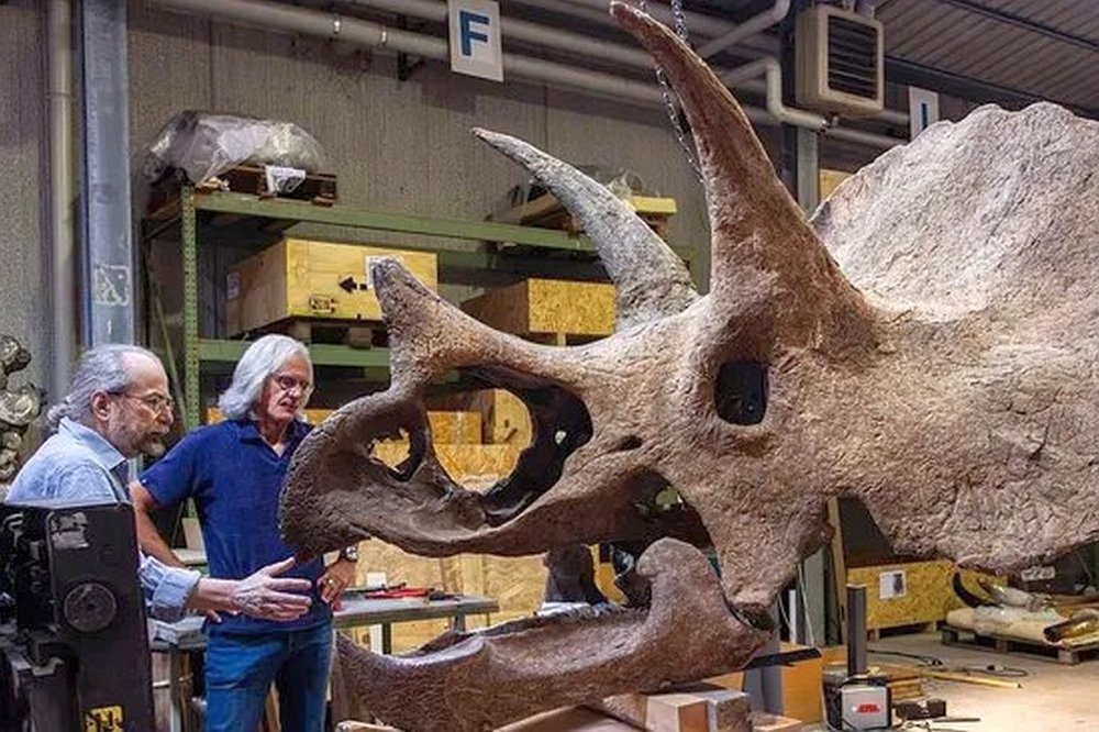    Гигантский череп трицератопса напомнил ученым знаменитого рокера. / Фото: loudersound.com