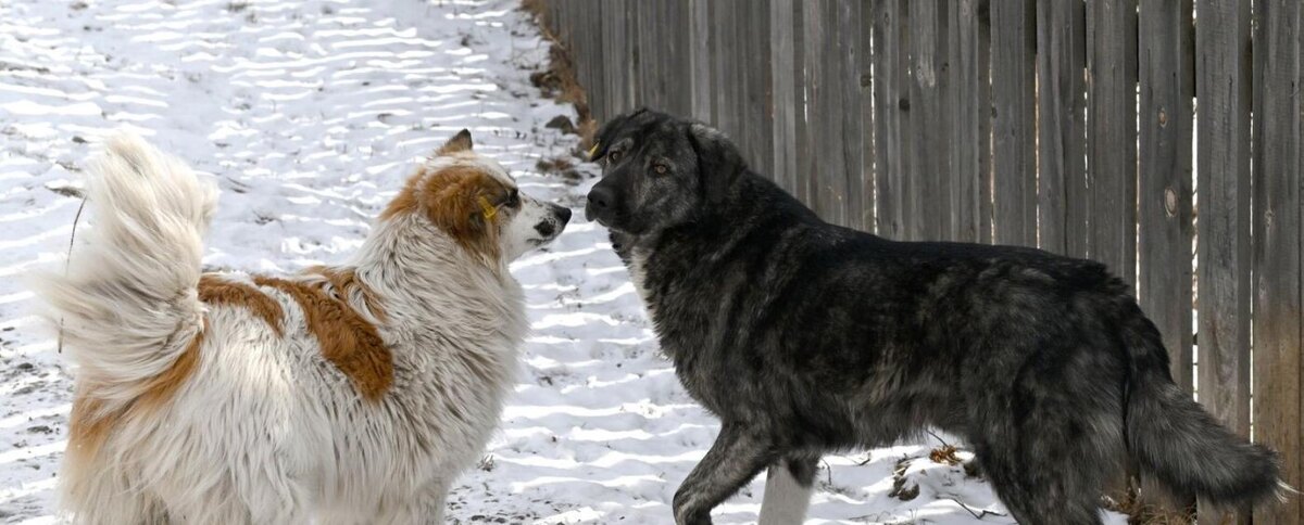 Фото: Илья Наймушин / РИА Новости