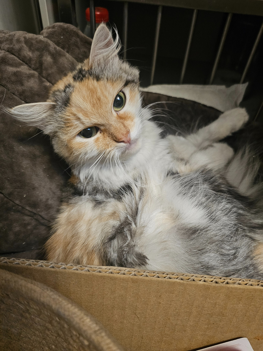 Фото автора. Фасолька оооооочень хочет жить.