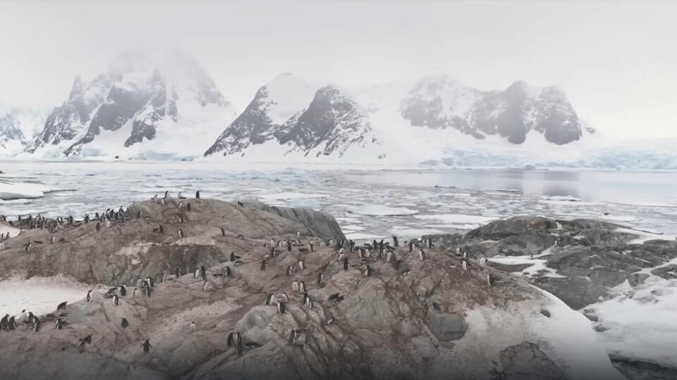 ФОТО: Кадр из программы "Как устроен мир", РЕН ТВ