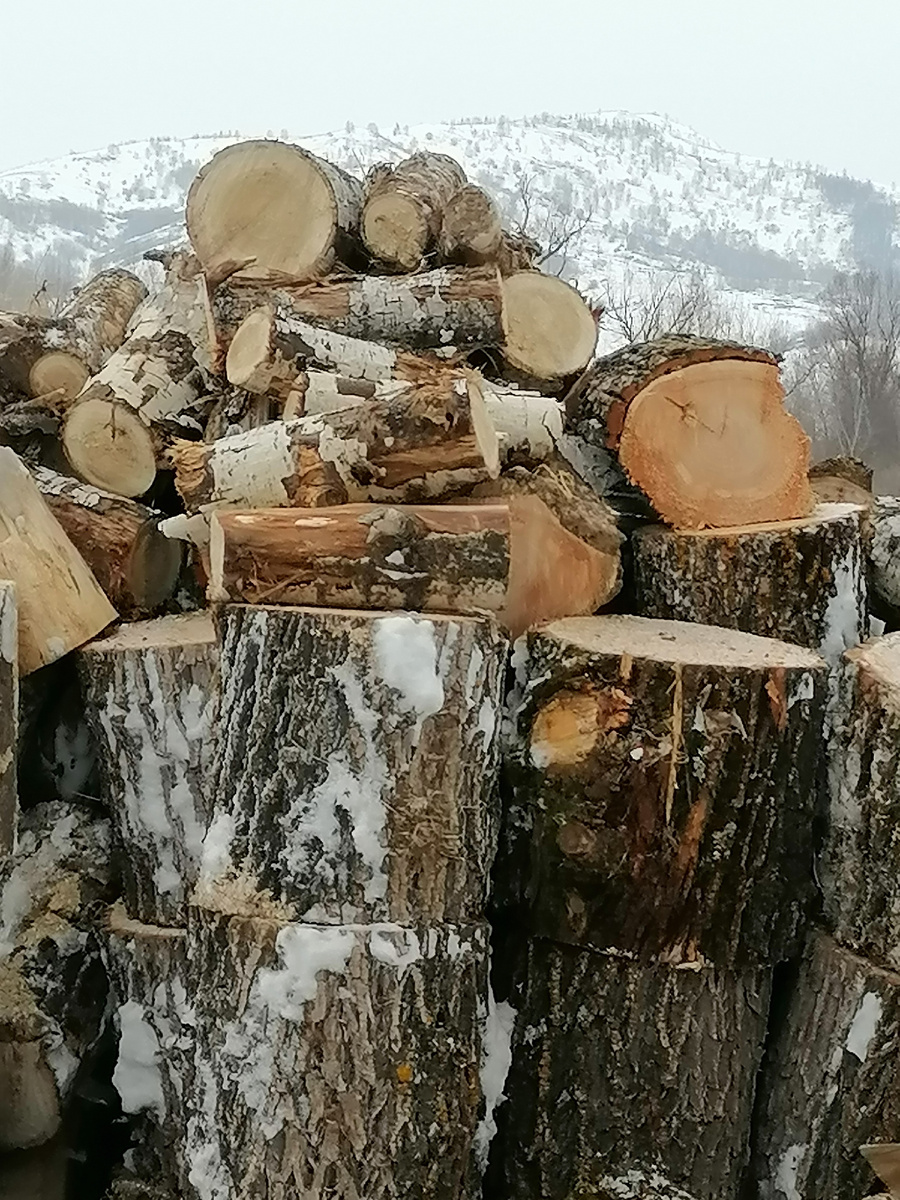 Откуда дровишки? - Из лесу вестимо... 