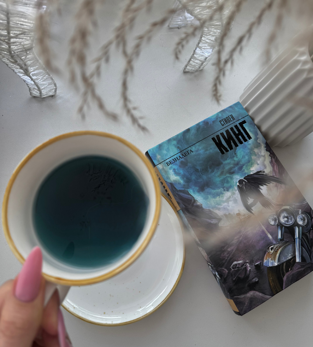 «Безнадега» С.Кинг🐦‍⬛