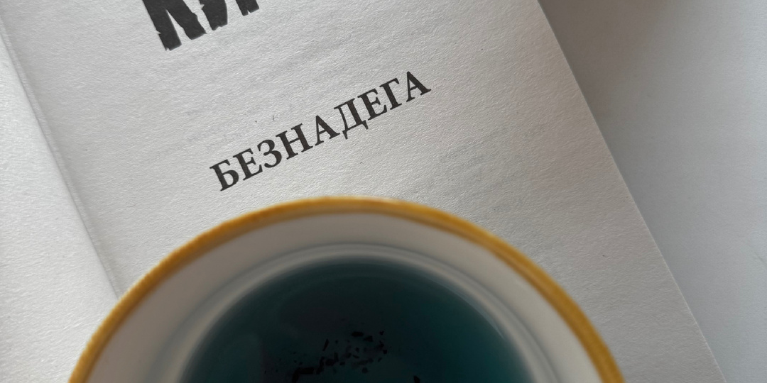 «Безнадега» С.Кинг🐦‍⬛