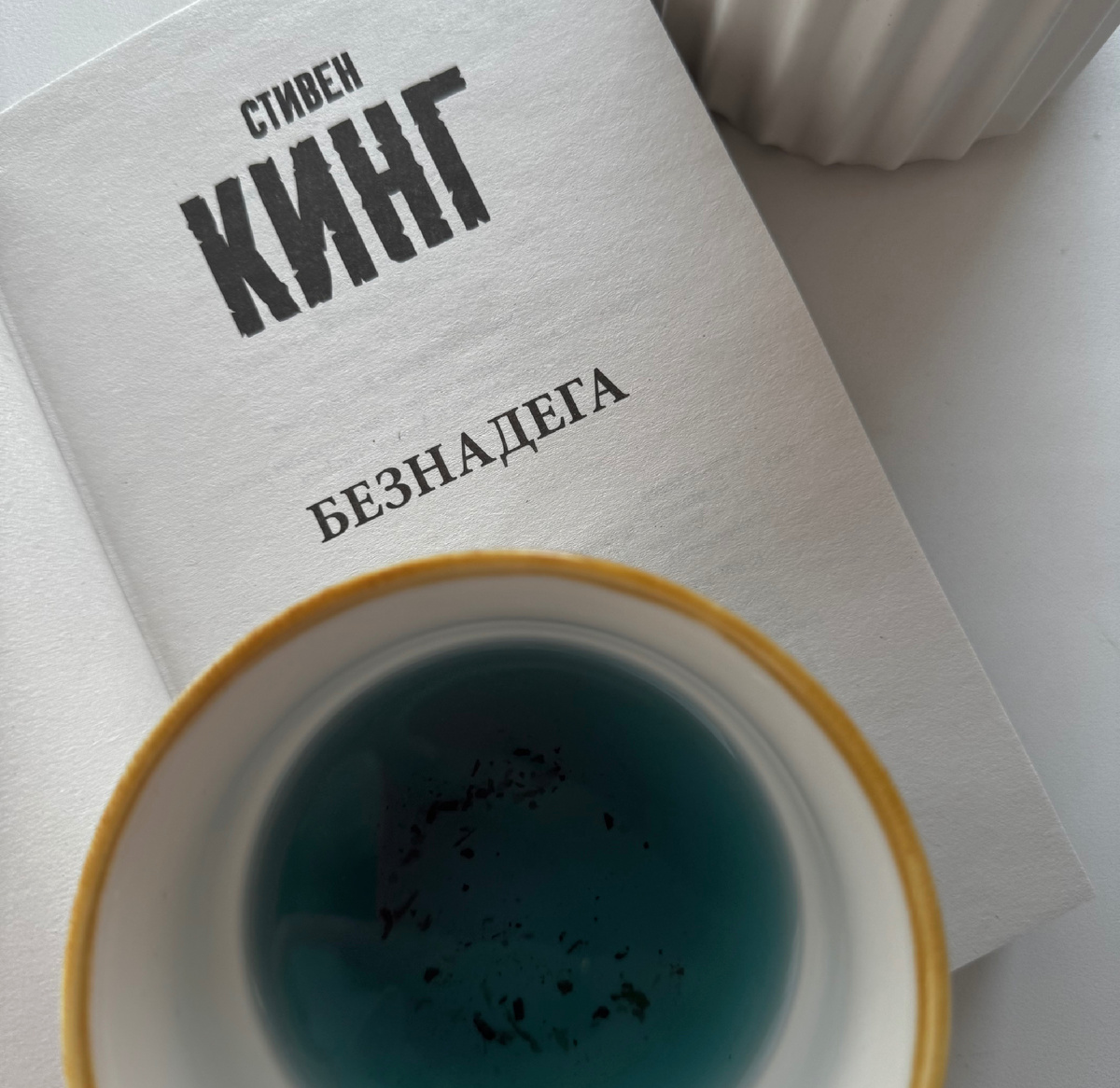 «Безнадега» С.Кинг🐦‍⬛