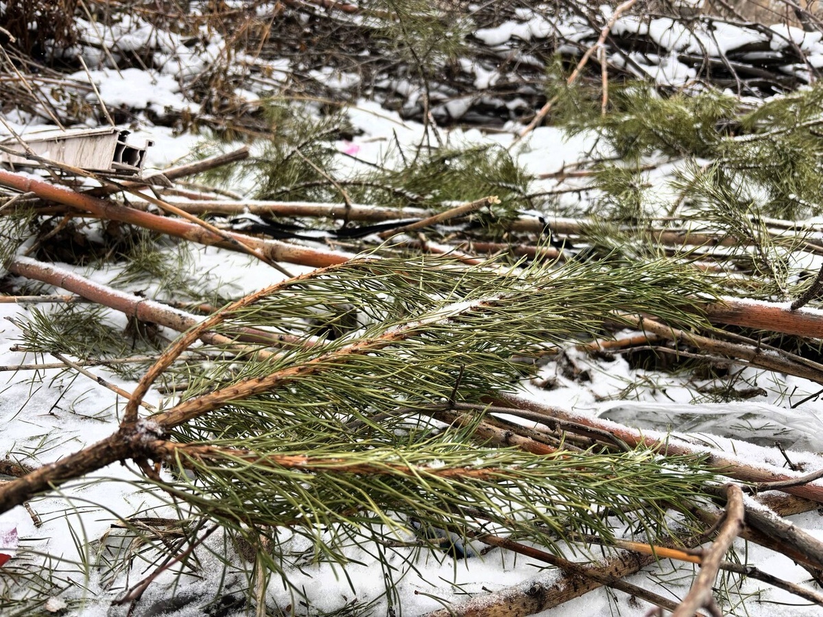    Фото: Херсонское агентство новостей