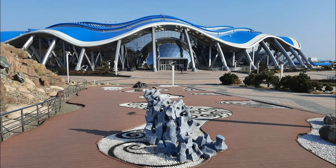 Лучший вариант для отпуска в 2026? 7 причин посетить Владивосток (и забыть про Сочи на пару сезонов)