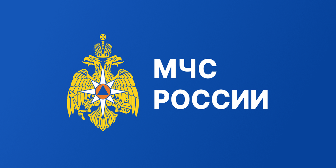 Узнать о плановых проверках органов госпожнадзора МЧС России можно онлайн