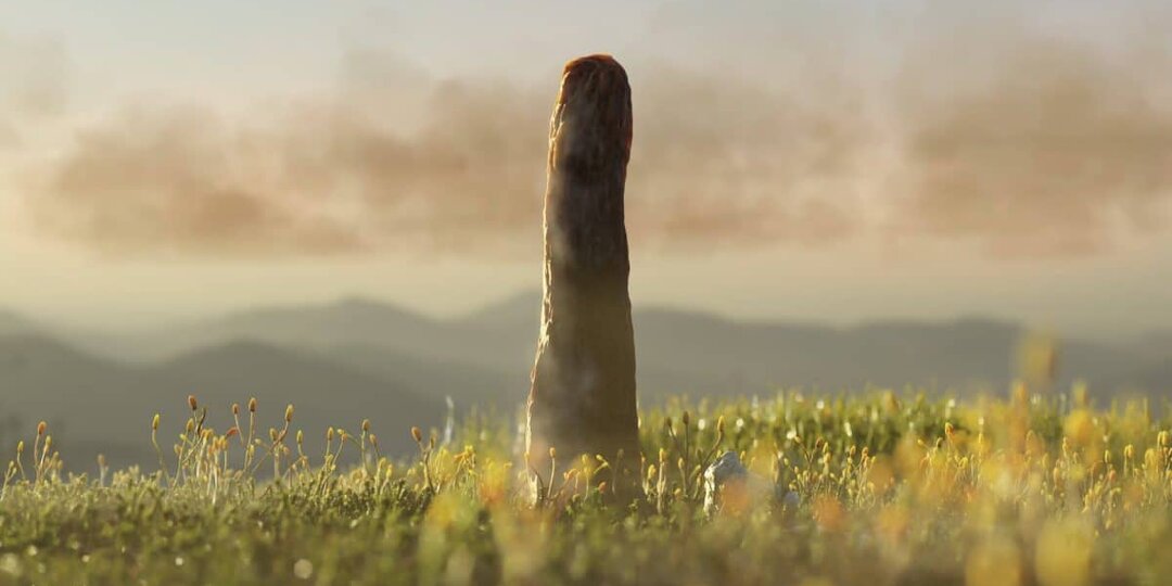 Палеонтологи выделили ранее неизвестное вымершее царство древних гигантов