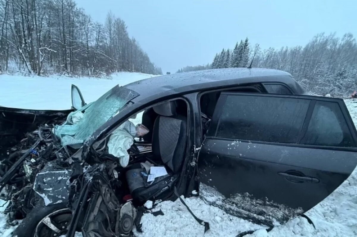    Стали известны подробности ДТП с пострадавшими в Починковском округе