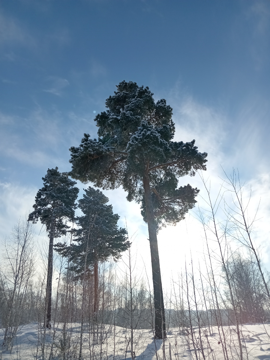 Фото из личного архива автора 