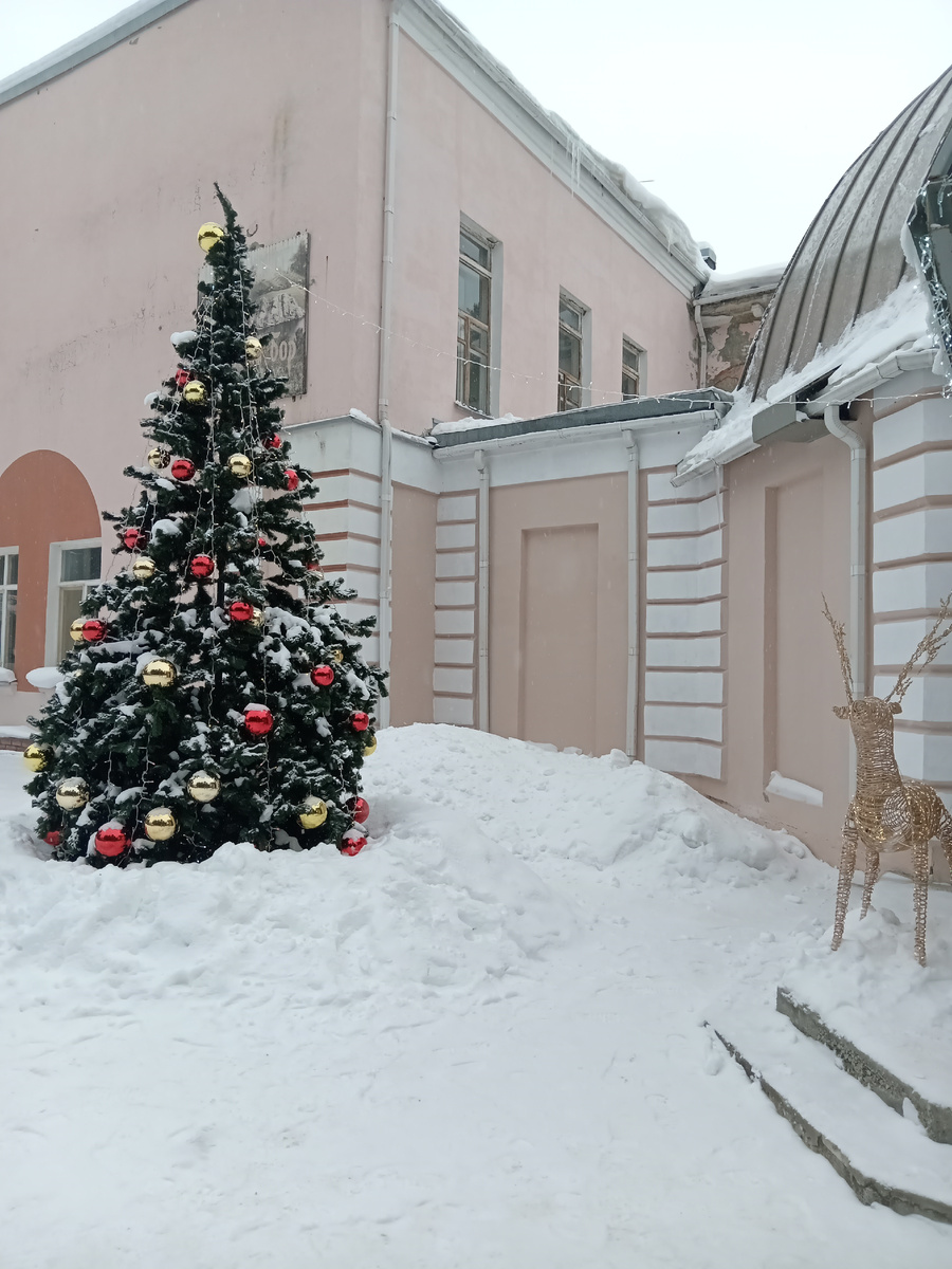 Красота зимы! Есть время наслаждаясь природой и прогулкой многое переосмыслить. 