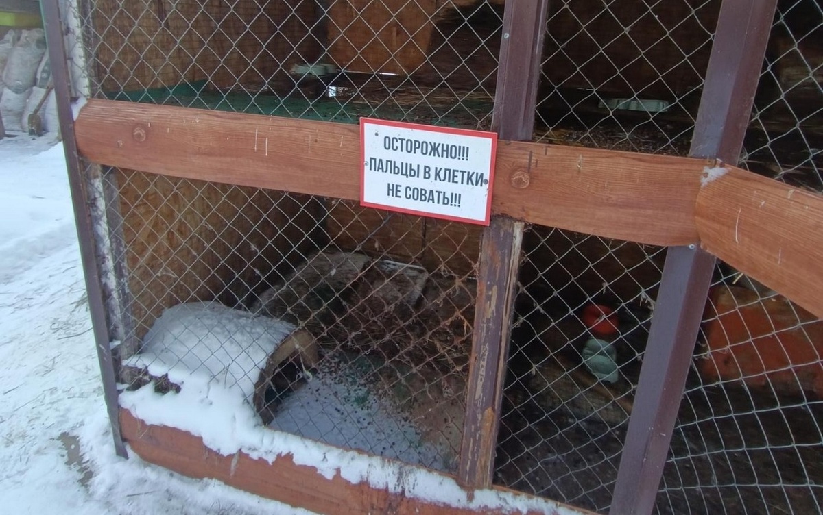    Зверинец в ижевском Парке космонавтов работал без лицензии