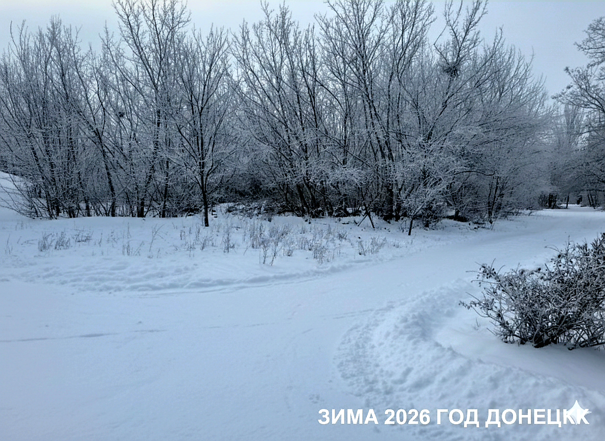 Фото автора. Изменено с помощьюИ.И.