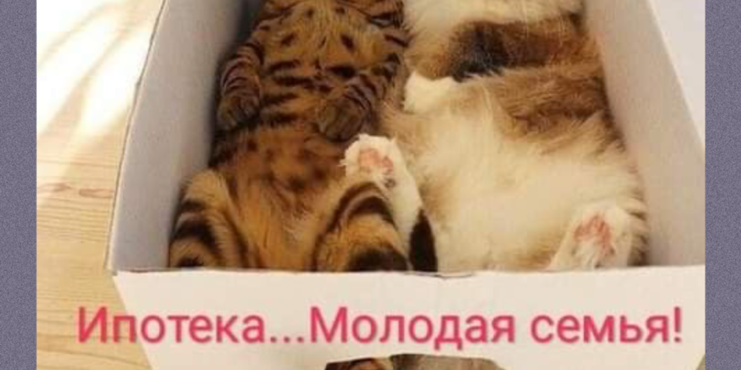 Если бы ремонт умел говорить: мемы, знакомые до боли