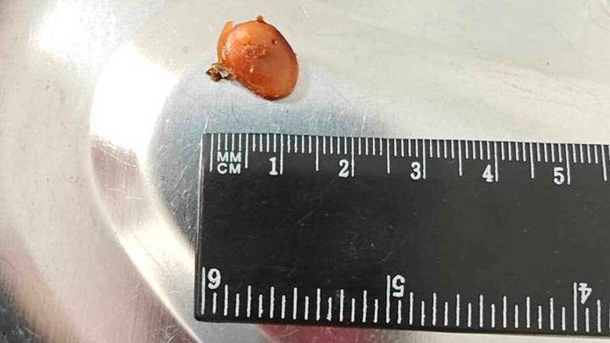    Фото: Telegram / Разборчивым почерком