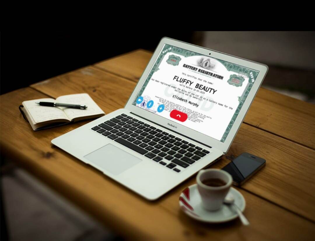 Фелинологическая система CAT ID, регистрация питомников, оформление родословных, метрик, консультации начинающих заводчиков.