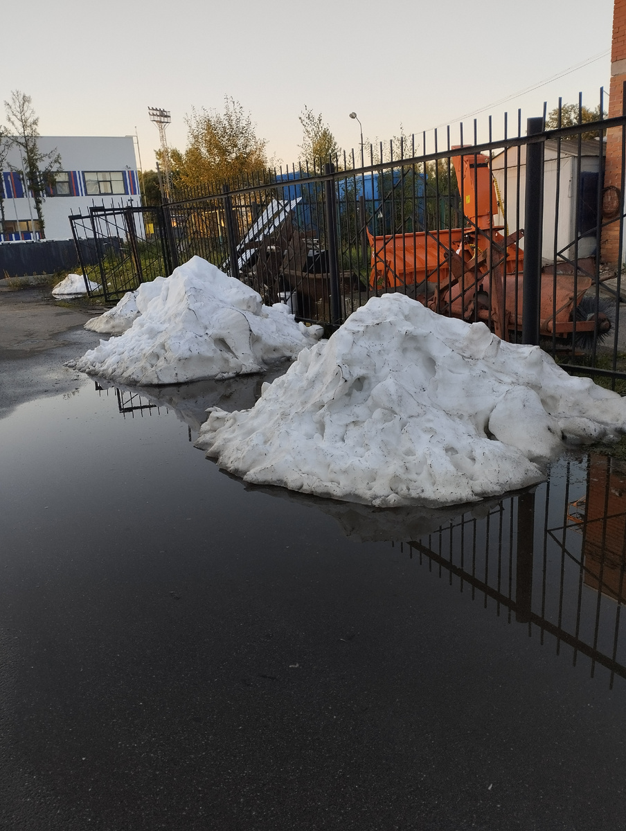 Фото автора. На улице - лето.
