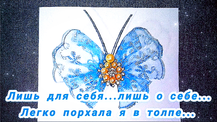 Фотография автора
