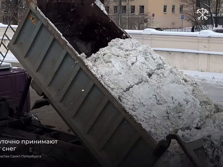     Фото: Правительство Петербурга.