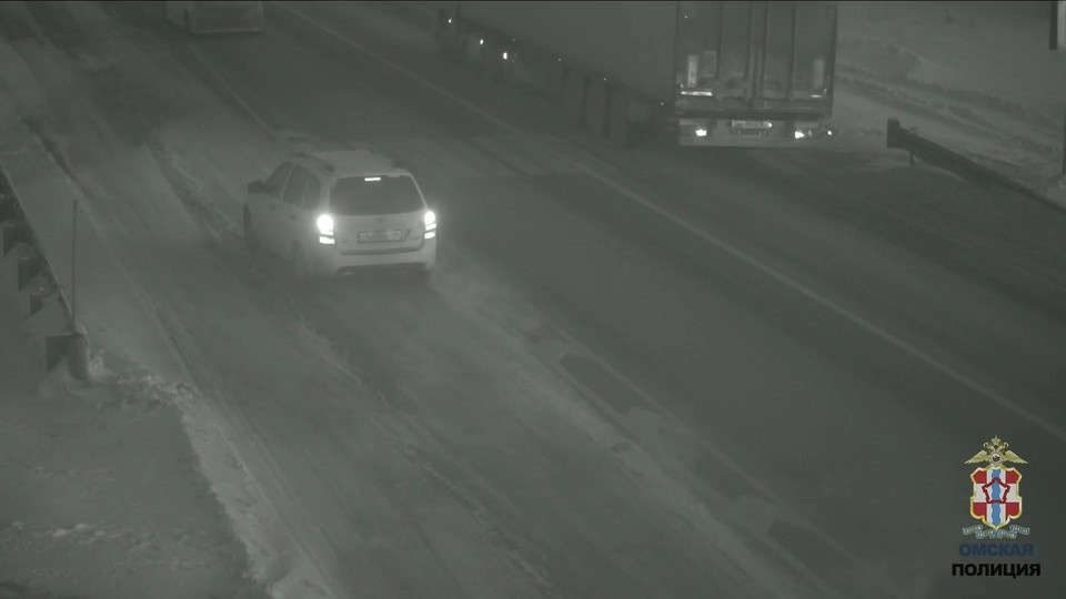    Фото: пресс-служба УМВД России по Омской области