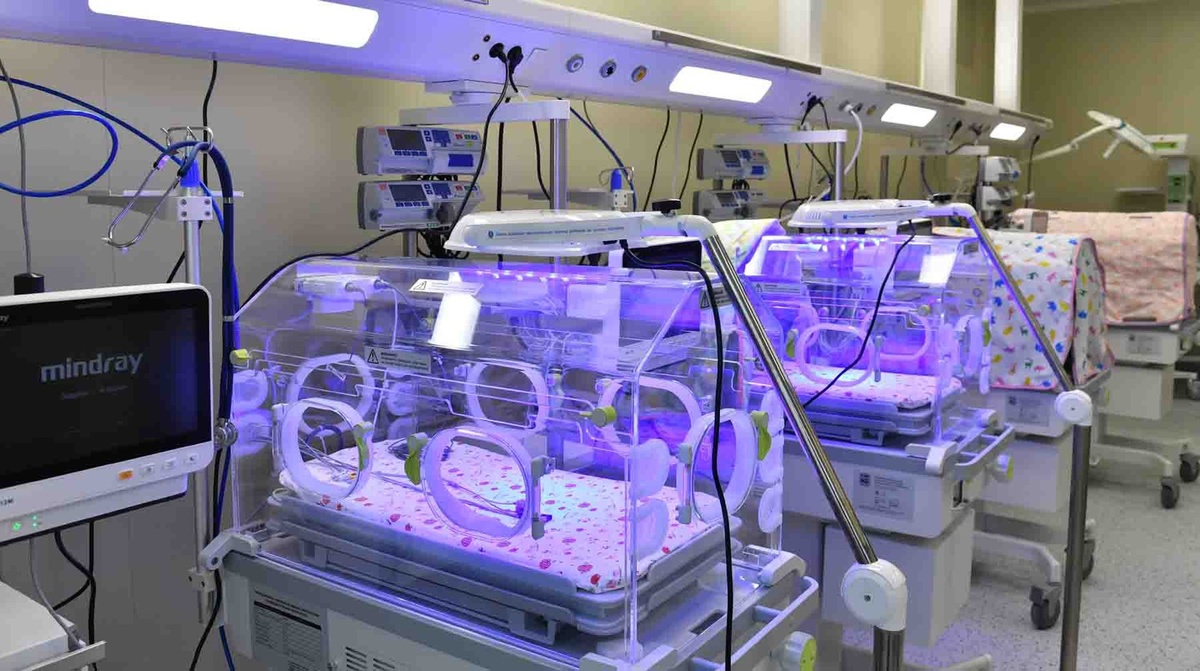    Фото: Global Look Press / Комсомольская правда