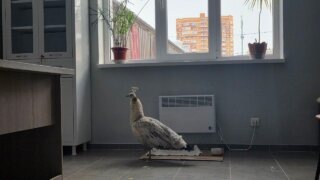    МУП «КТТУ» Юлия Виноградова