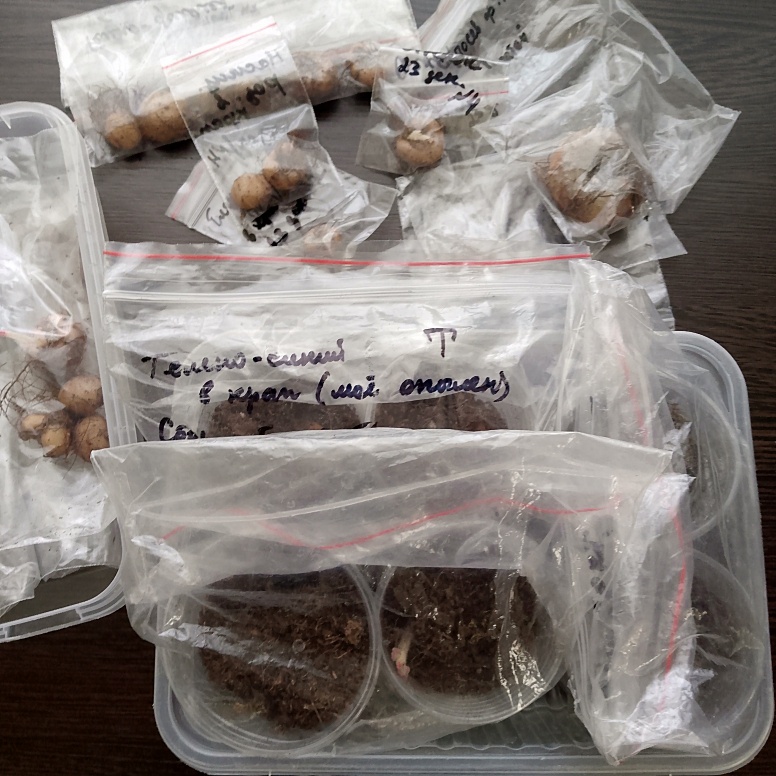 Фото автора канала