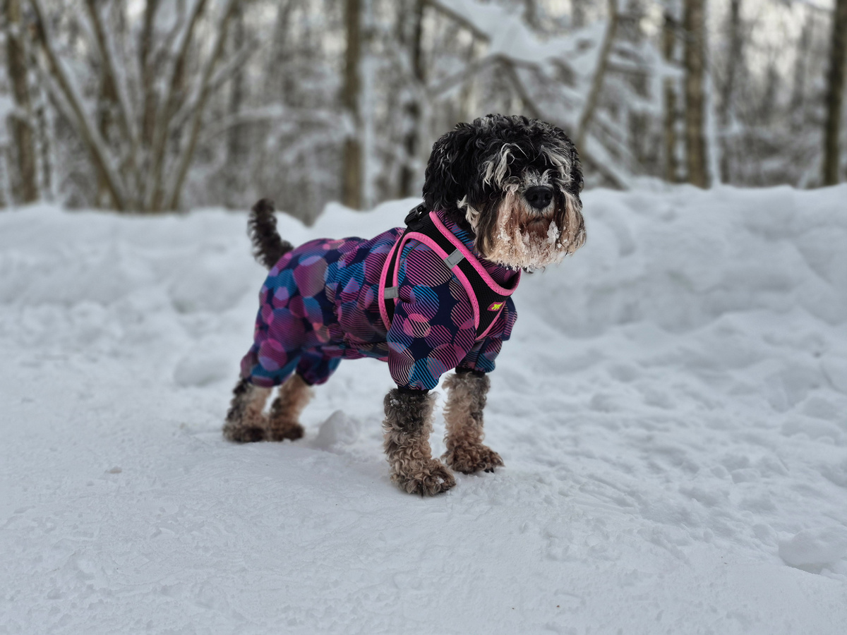 Моя зимняя красавица