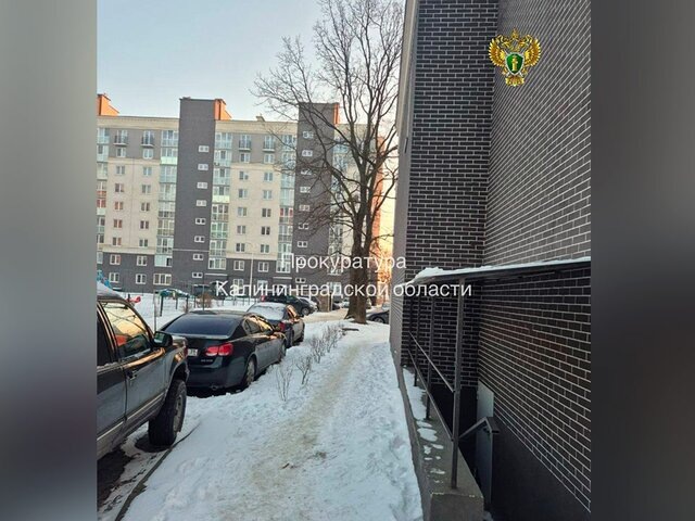    Фото: телеграм-канал "Прокуратура Калининградской области"