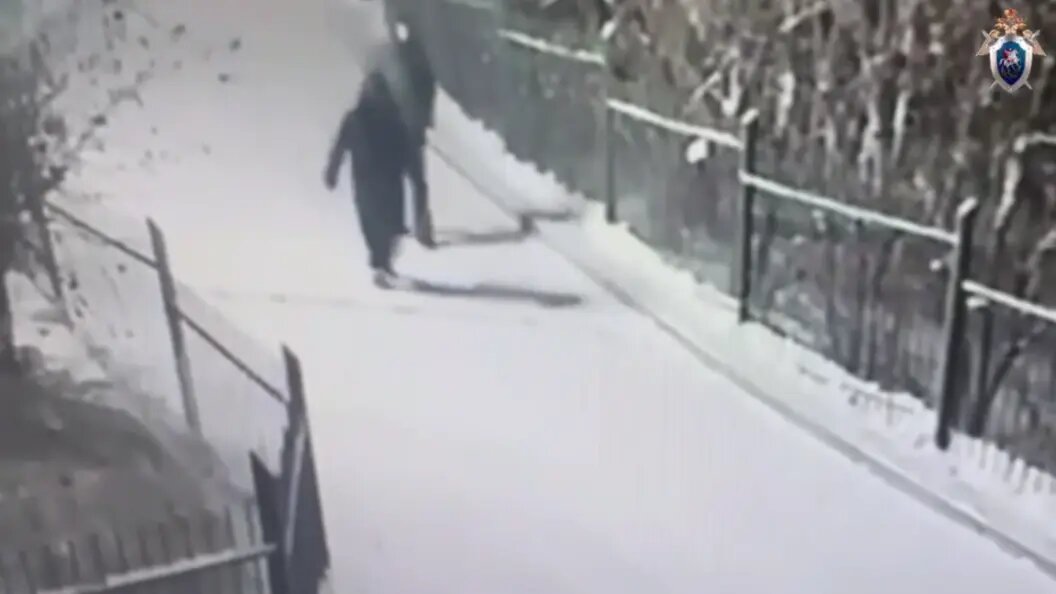    фото: скриншот видео СУ СК по Красноярскому краю