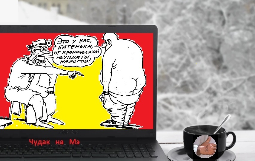 "Гульфики сброшены!" Почему сауна для Акелы хуже преисподней?