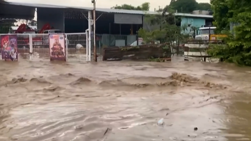 ФОТО: Кадр из программы "Невероятно интересные истории", РЕН ТВ