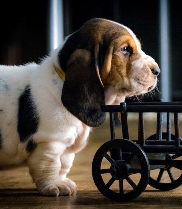 Идеальная структура лендинга: 6 обязательных блоков