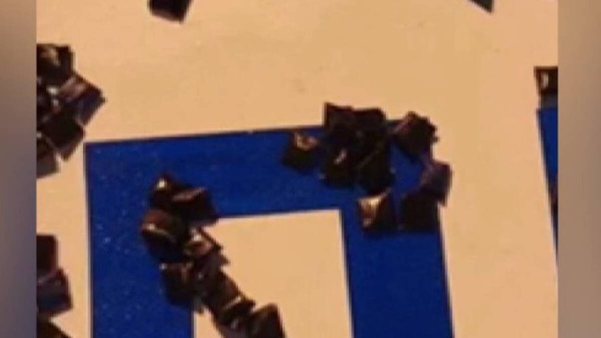    Фото: скриншот видео / пресс-служба ГУ МВД России по Москве