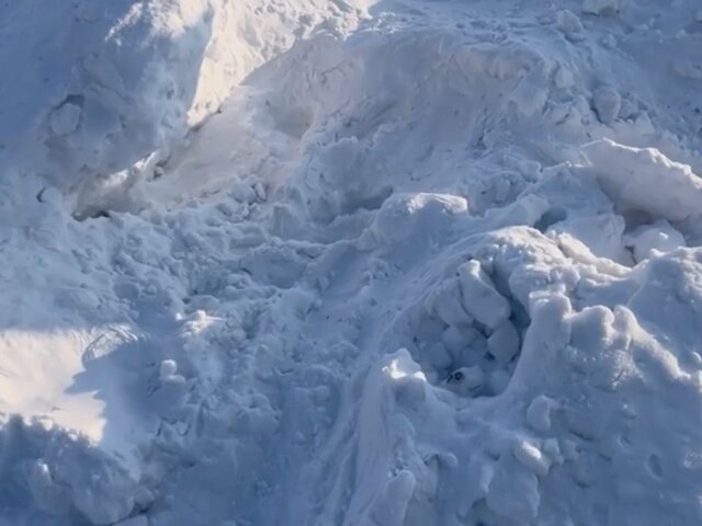    Фото: телеграм-канал "ГСУ СК России по Красноярскому краю и Республике Хакасия"