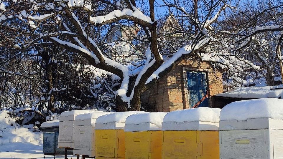 СТОИТ-ЛИ ОТКРЫВАТЬ УЛЕЙ ПРИ -13°С?