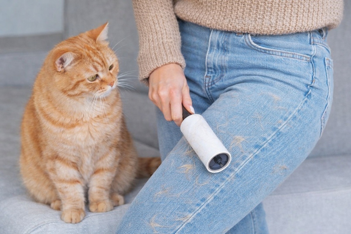    Особенно часто нужно убираться в периоды линьки домашних животных