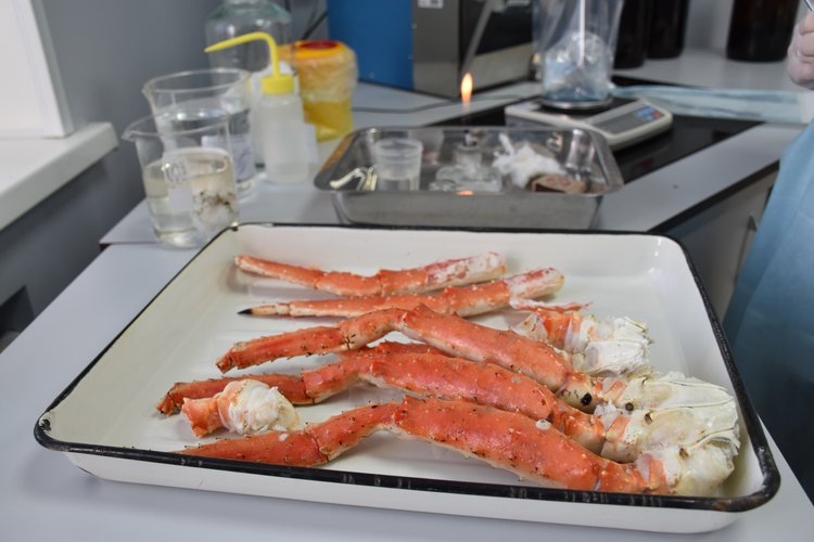    Фото: ФГБУ «АПК НАЦРЫБА»