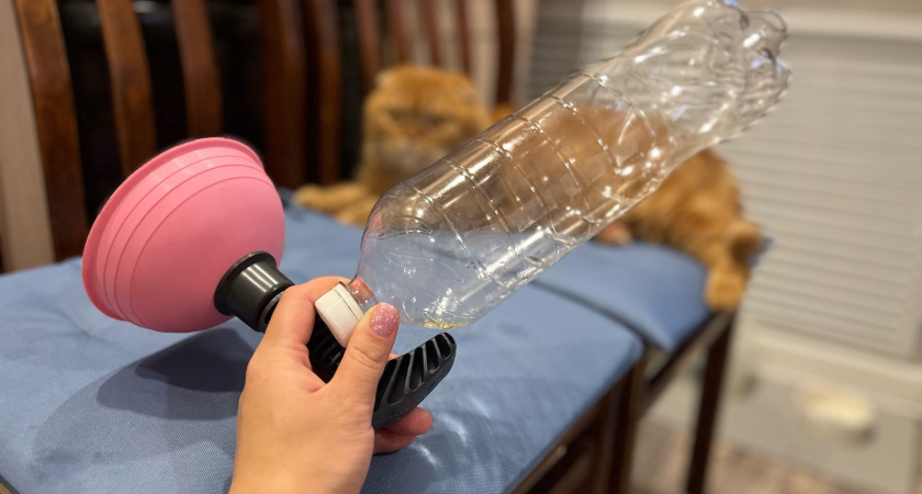    Фото progorod43.ru