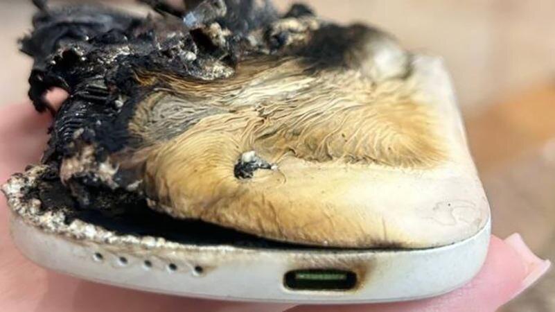    Фото: t.me/mchspetersburg