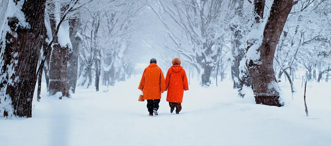 Как получить свои пенсионные накопления в 2026 году