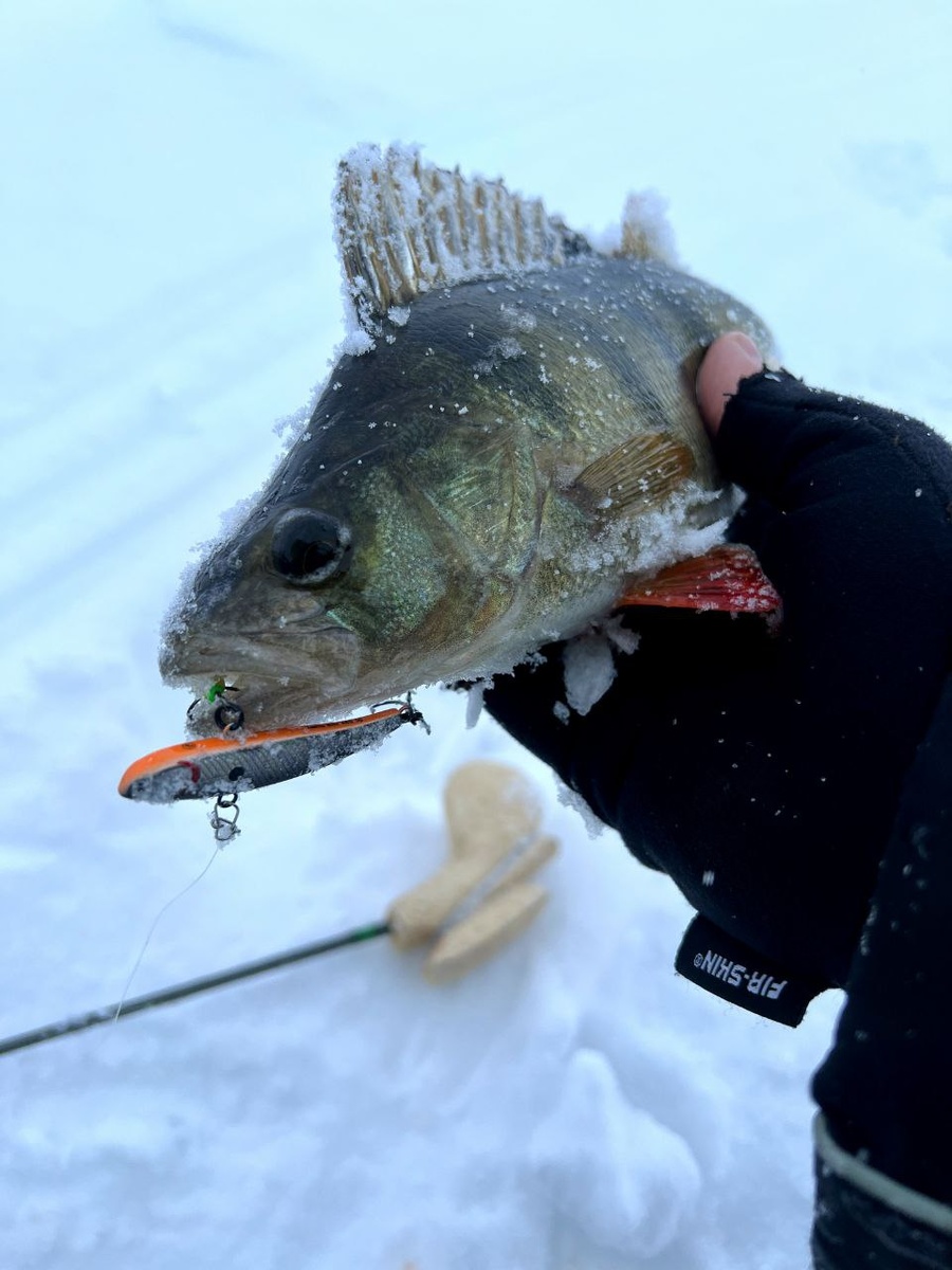 виб Nemo Slim от ECOPRO