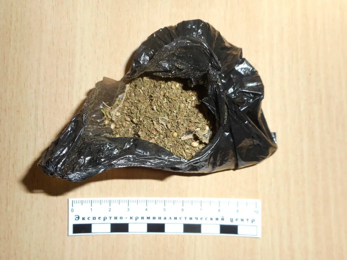 Фото:пресс-служба УТ МВД России по СКФО