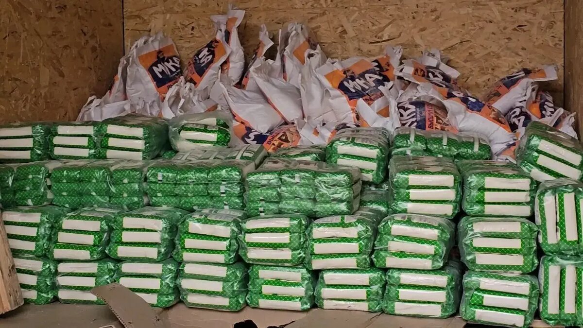 Фото:пресс-служба РИК ИРО ВПП «Единая Россия»