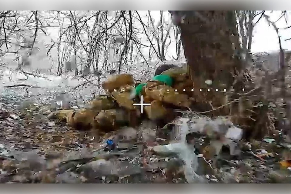    Российские дроны выбивают личный состав ВСУ. Фото: Минобороны РФ