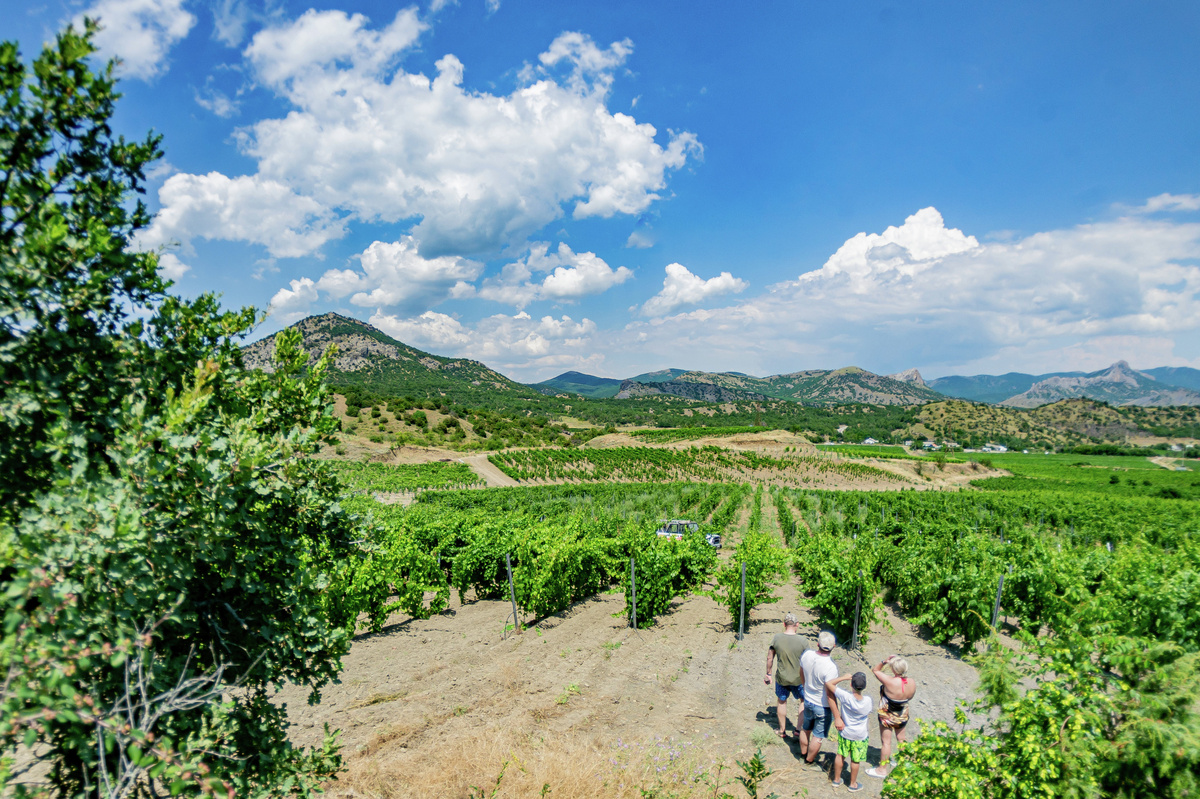 Ай-Савская долина
© Туристический портал Республики Крым, Юлия Блоцкая