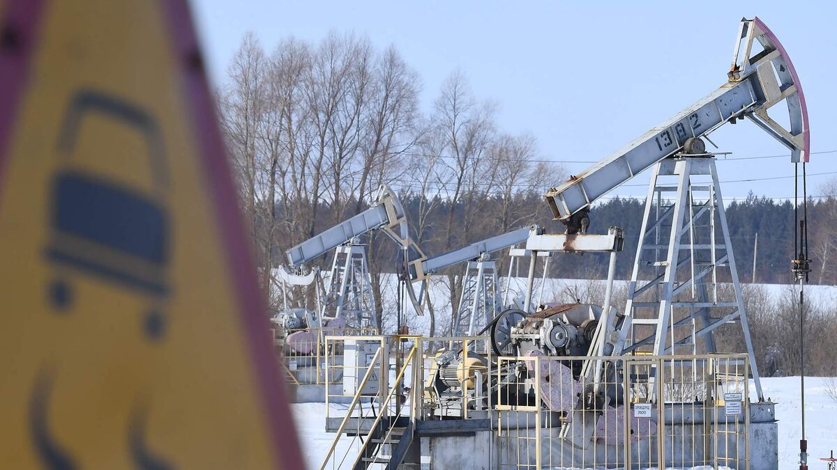 Фото: «РИА Новости»/Максим Богодвид