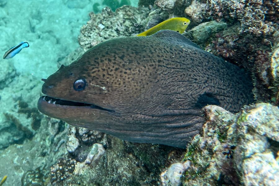     / Источник: © Валерий Шарифулин/ТАСС